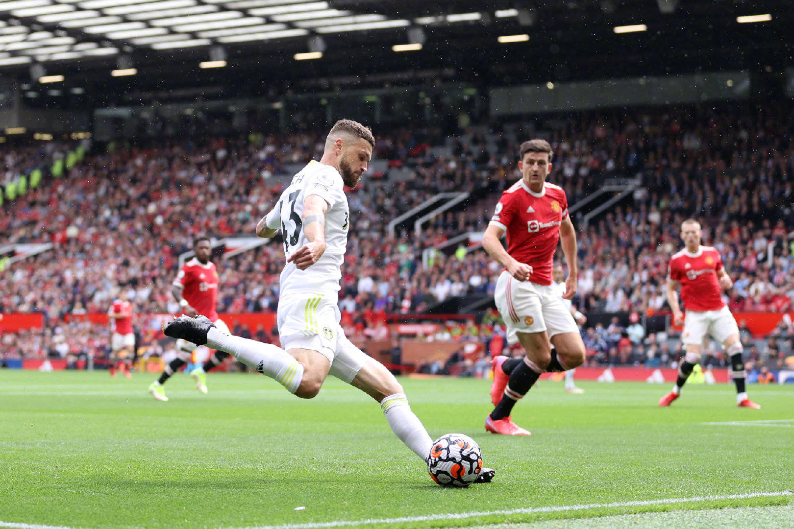 他的成熟度 他的成熟度